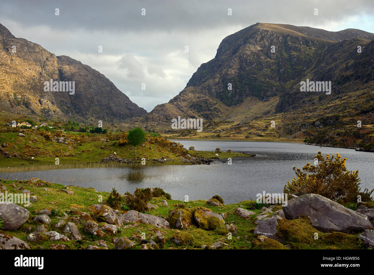 Black Lake, Valley, Gap of Dunloe, Ireland, Great Britain Stock Photo