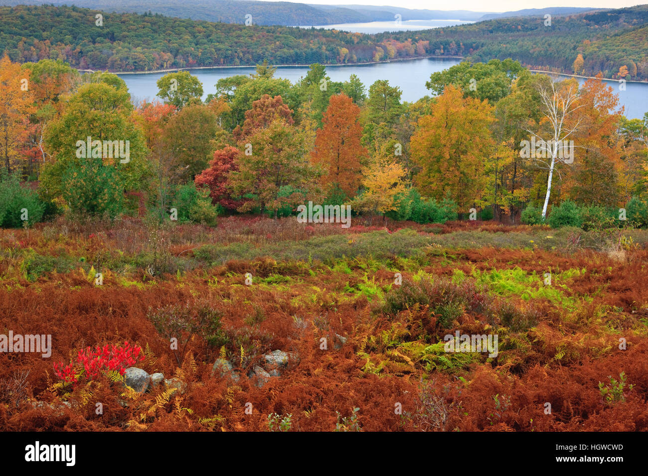 View of the Quabbin Reservoir from the Enfield overlook in Ware