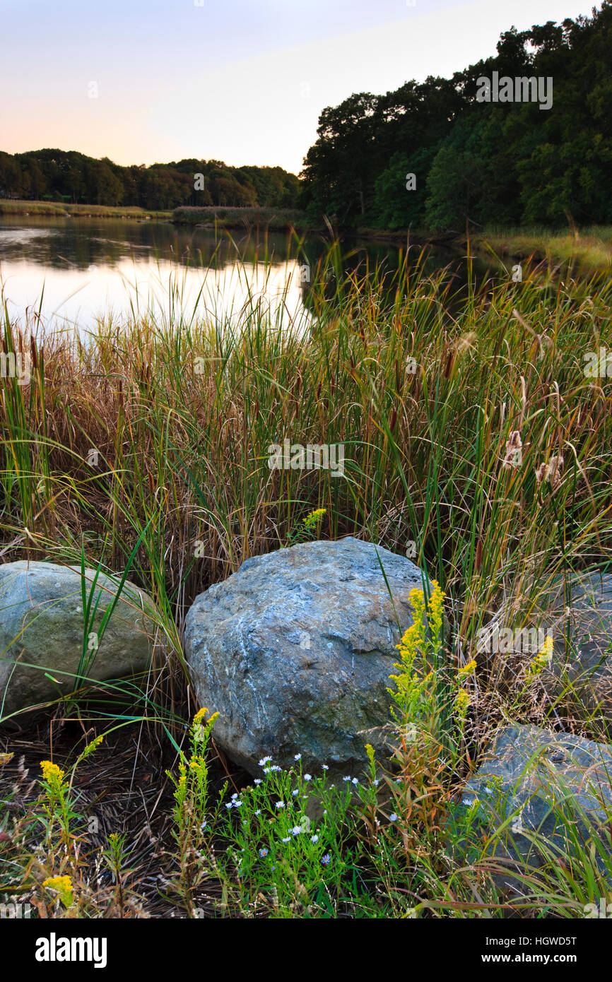 The wetlands on the lower, tidal portion of the Taunton River in Dighton, Massachusetts.  Recently designated a Wild and Scenic River. Stock Photo