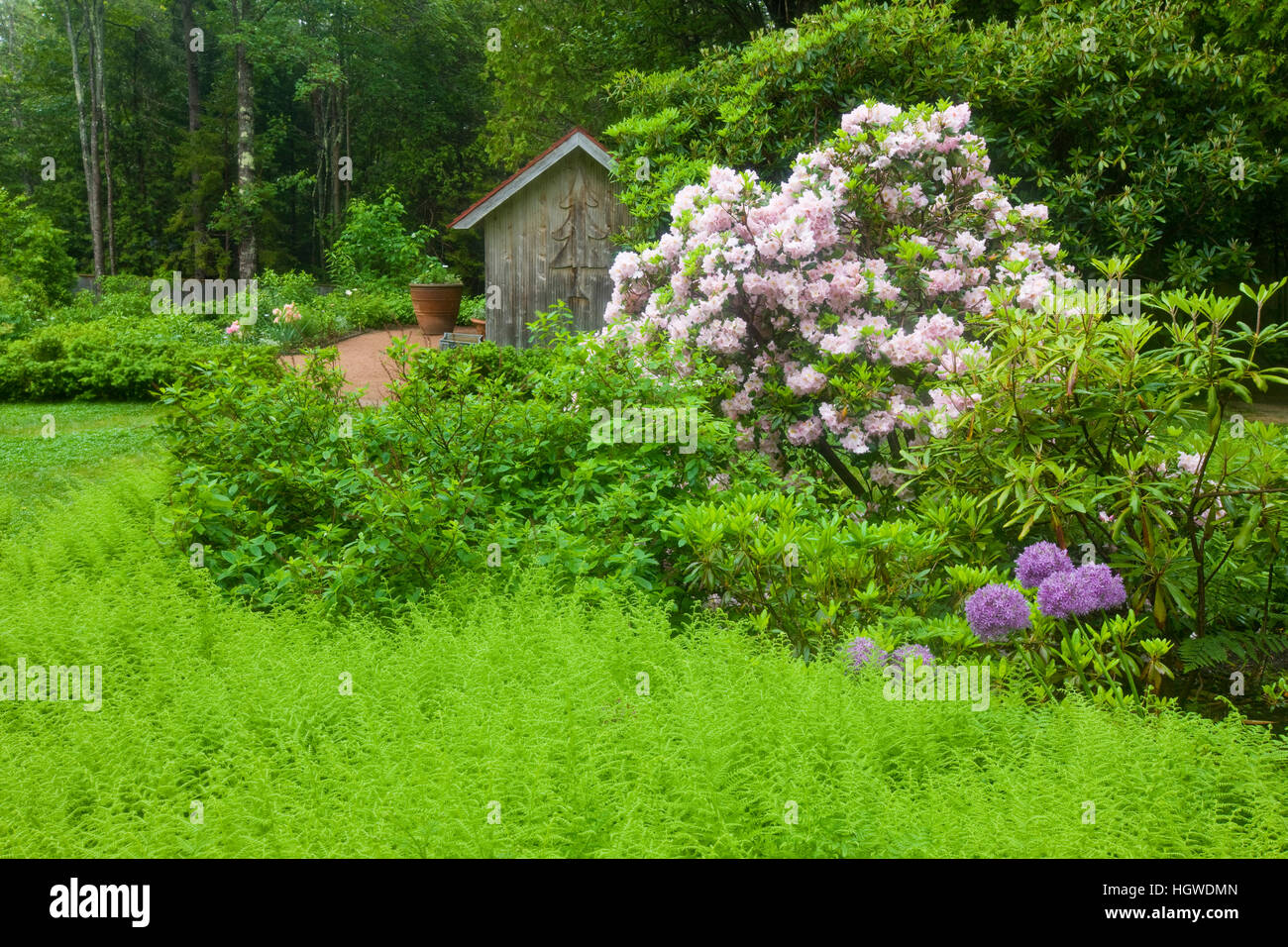 Thuya Gardens in Northeast Harbor, Maine. Stock Photo