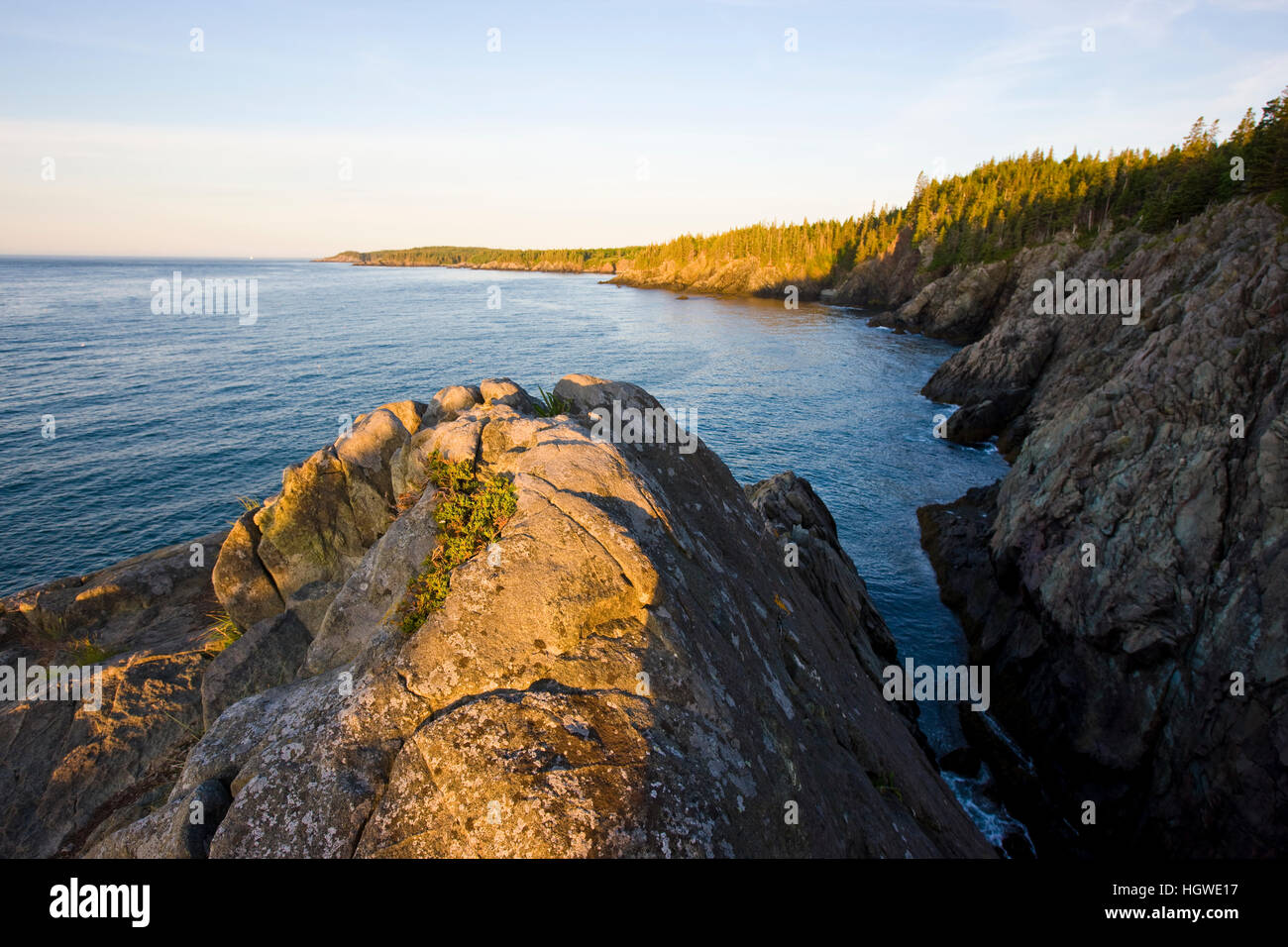 The cliffs of the Bold Coast trail in Cutler, Maine. Cutler Coast