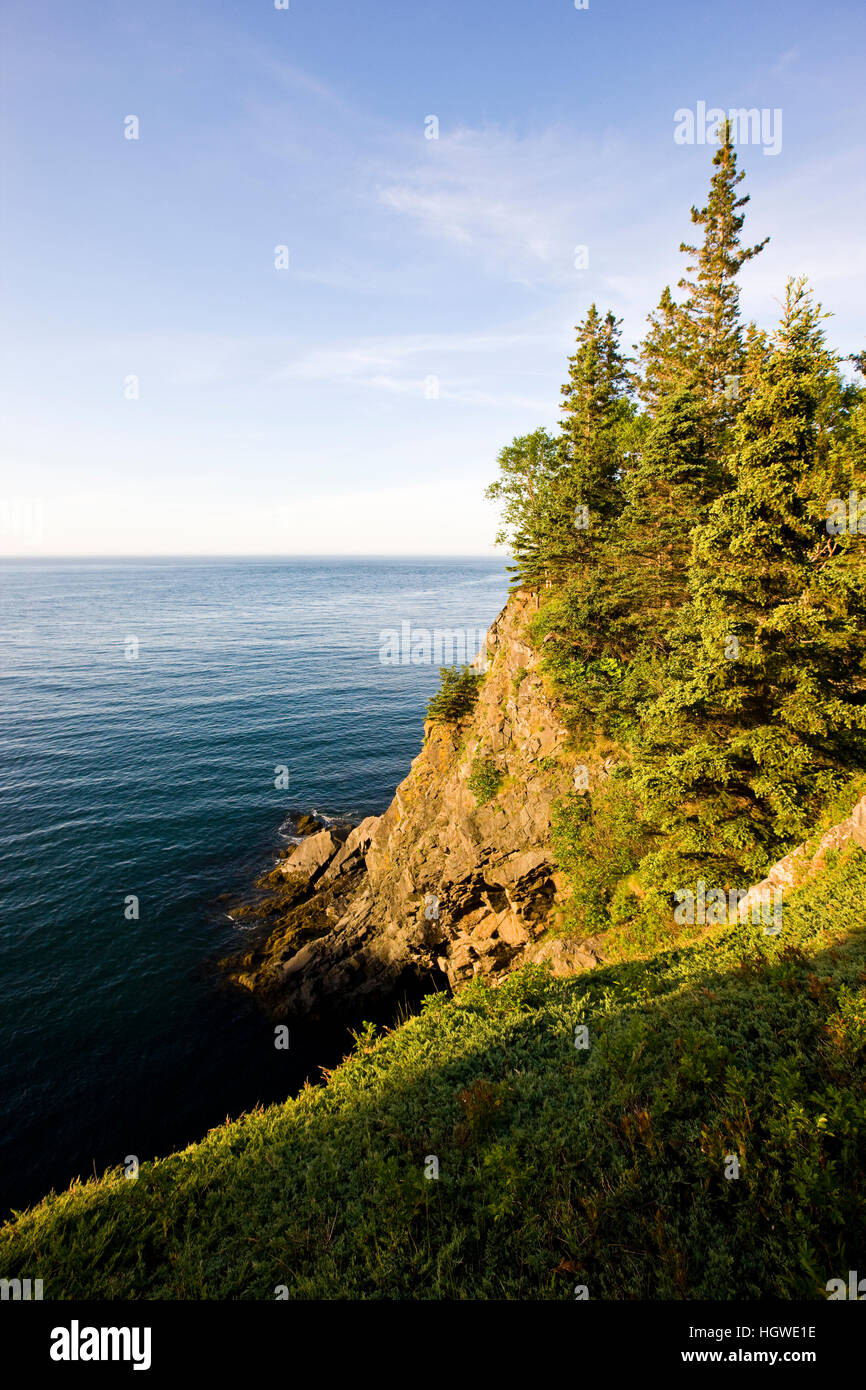 The cliffs of the Bold Coast trail in Cutler, Maine. Cutler Coast