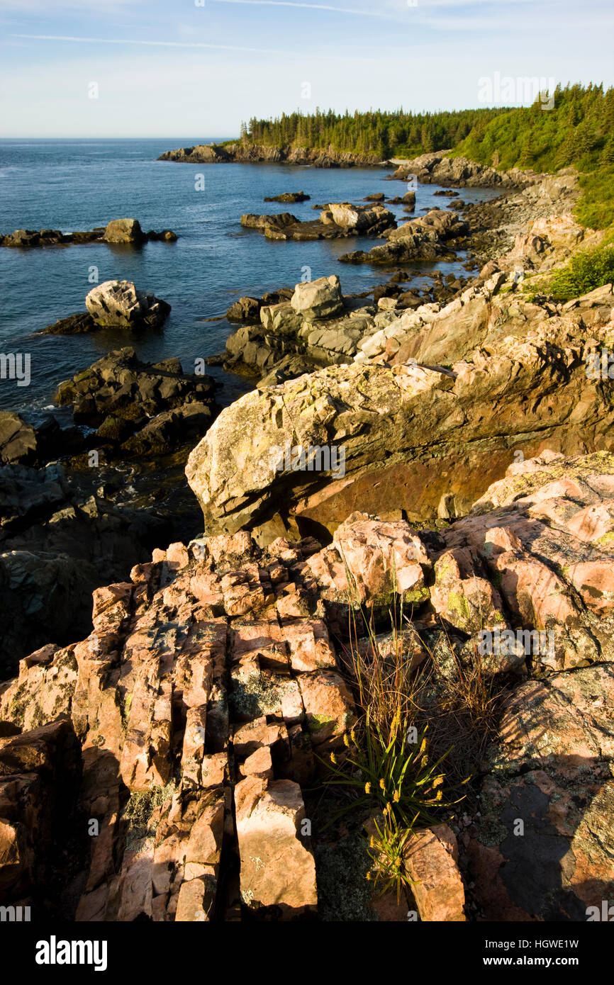 Escape to the Rugged Charm of Maine's Cutler Coast: A Nature Lover's Paradise