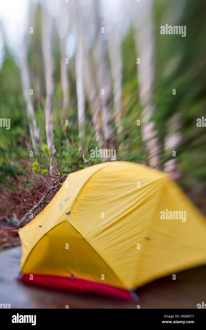 Tent at the Crocker Cirque tent site at the base of Crocker Mountain in