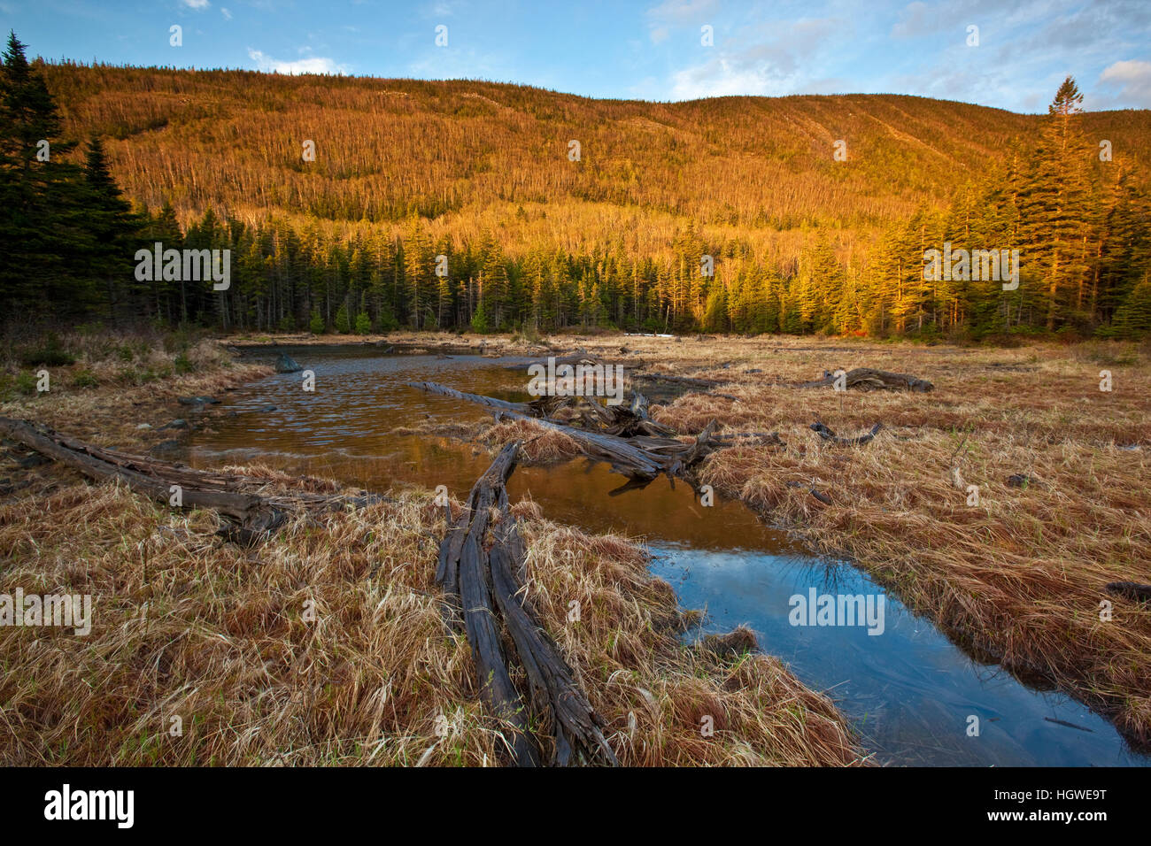 Morning at Caribou Pond in Crocker Cirque at the base of Crocker