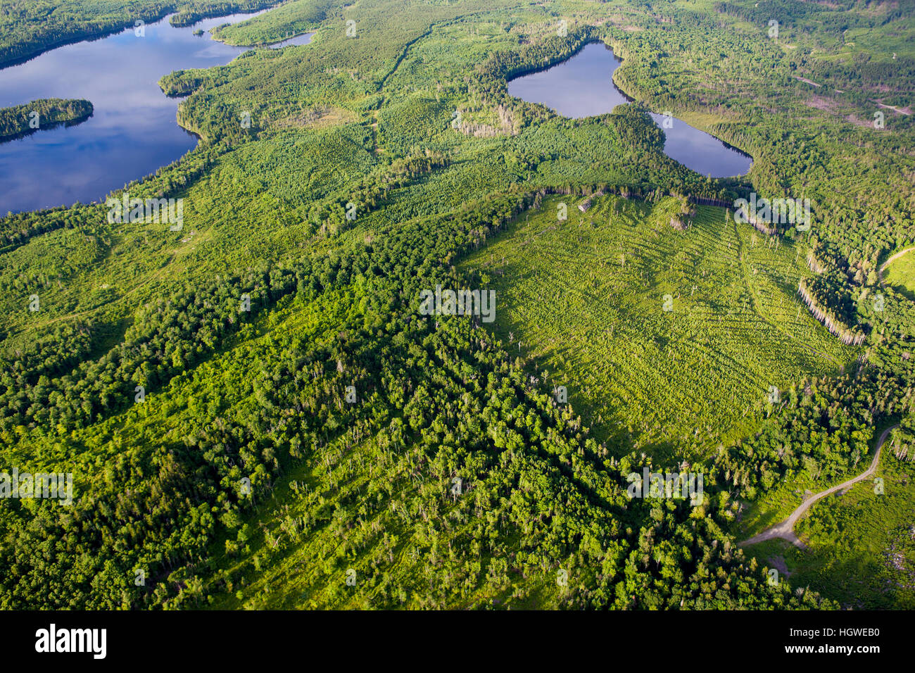 Lang and Little Lang Ponds (upper left), and Cold Stream Pond