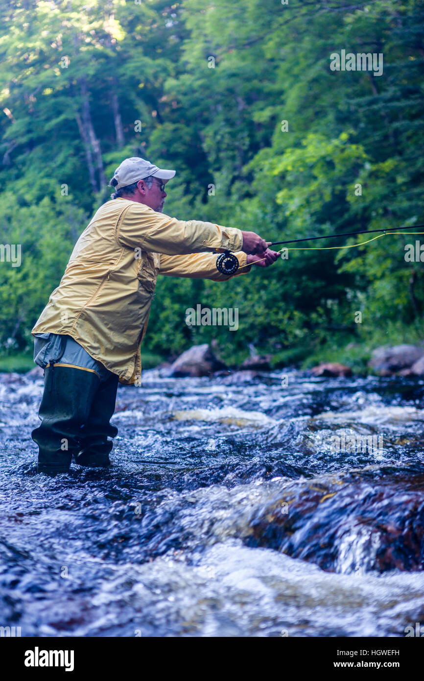 A man flyfishing for brook trout in Cold Stream in Maine's Northern