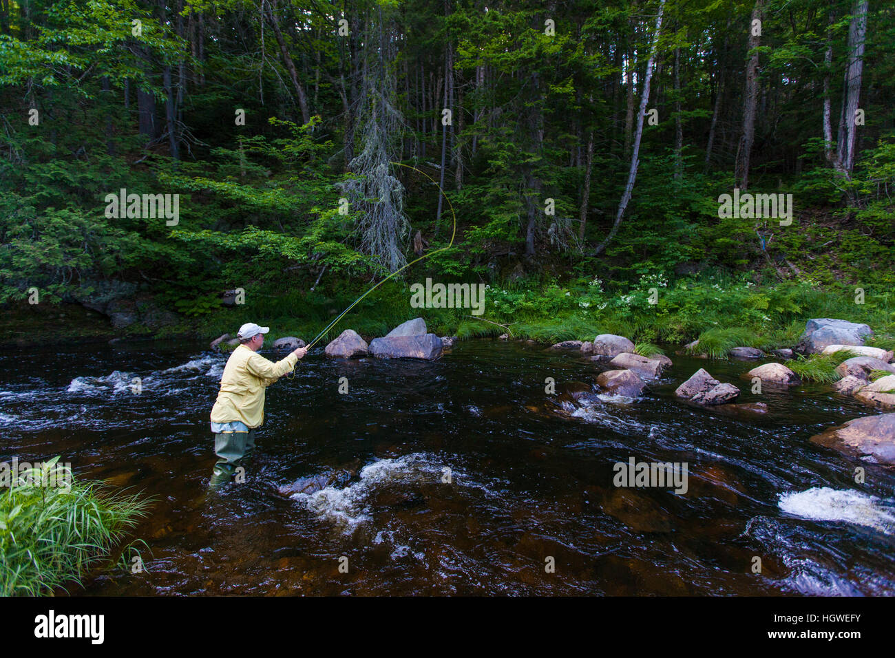 A man flyfishing for brook trout in Cold Stream in Maine's Northern