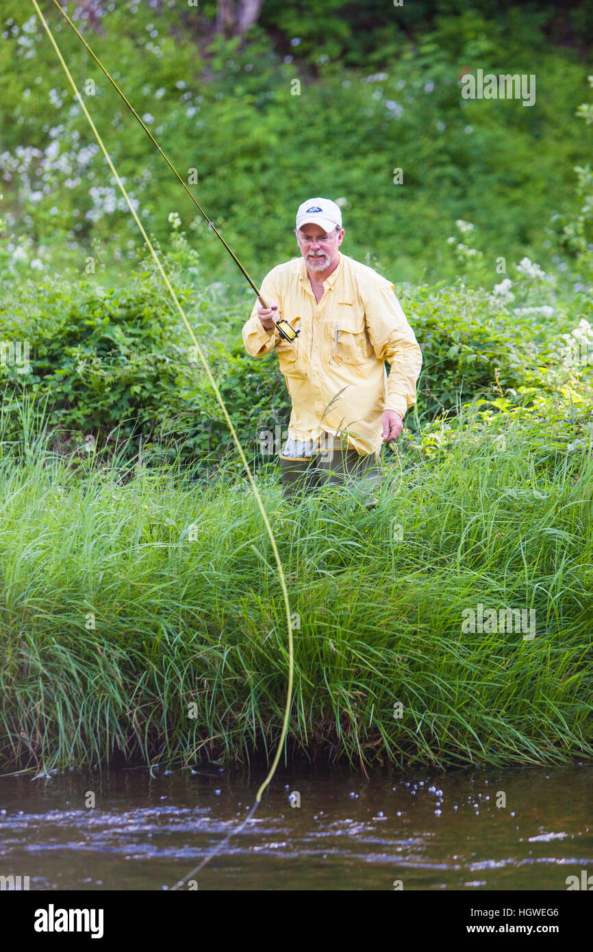 A man flyfishing for brook trout in Cold Stream in Maine's Northern