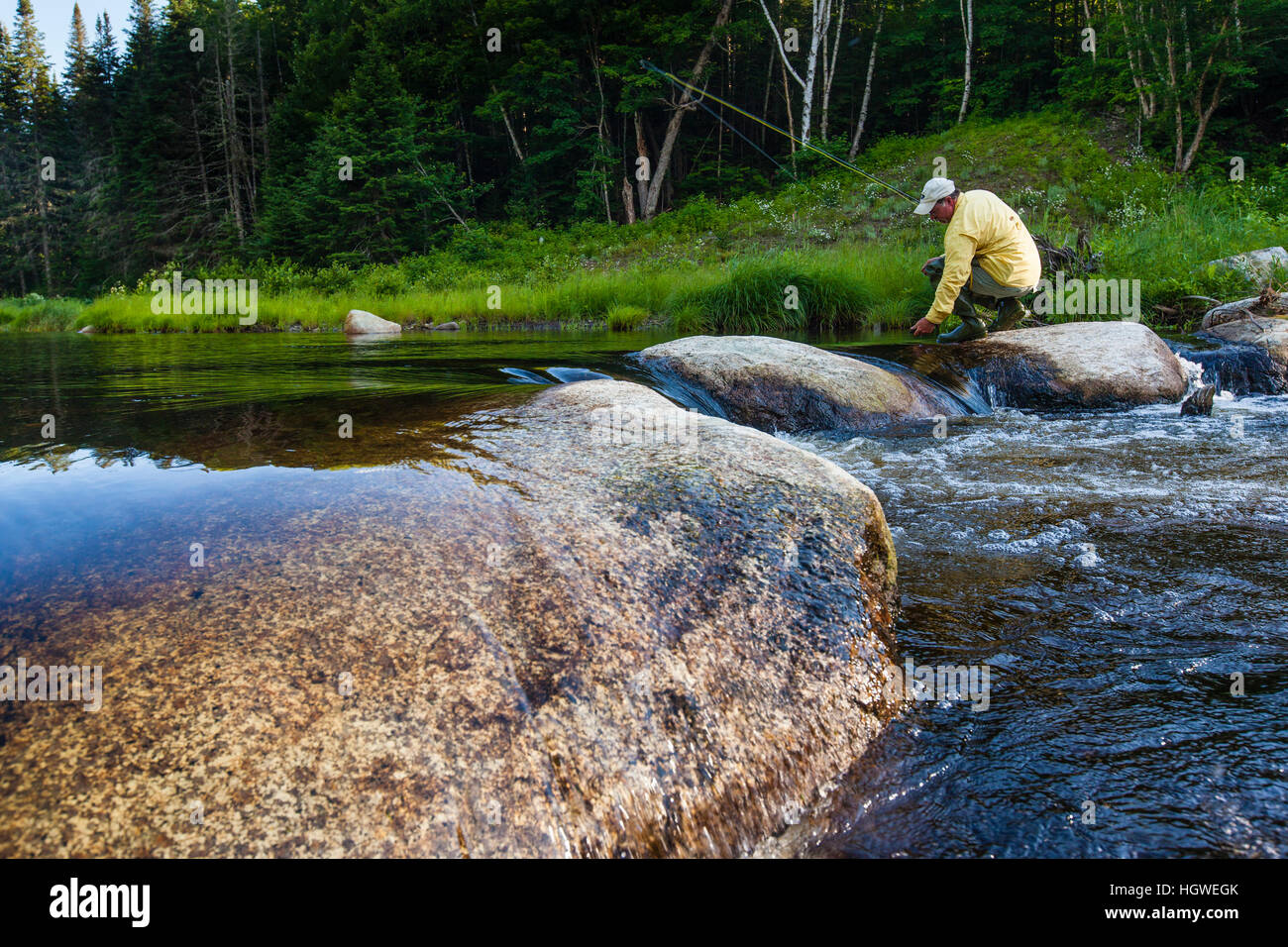 A man flyfishing for brook trout in Cold Stream in Maine's Northern