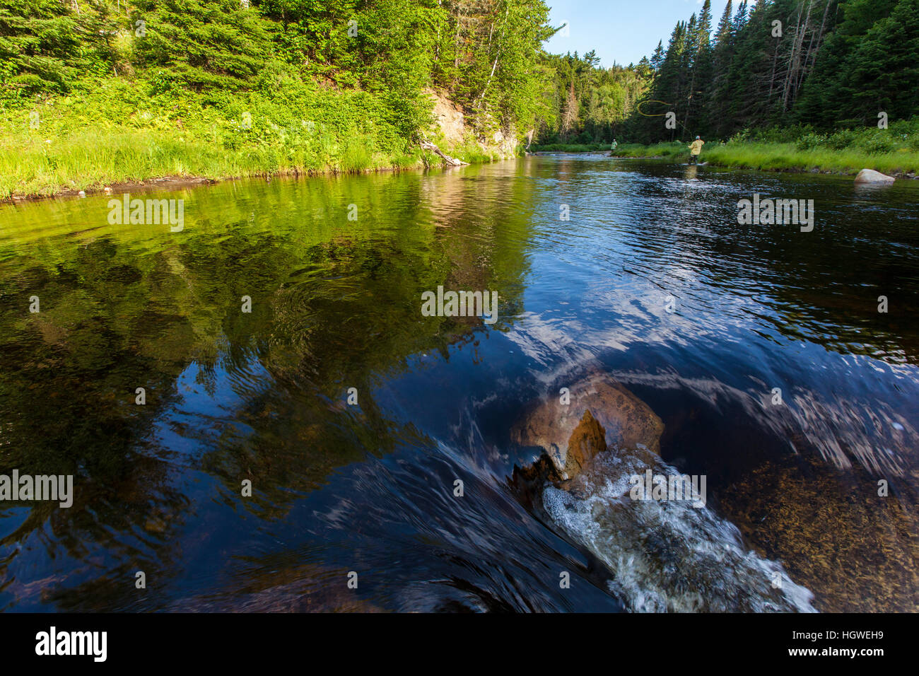 A man flyfishing for brook trout in Cold Stream in Maine's Northern