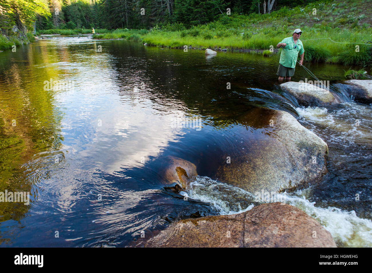A man flyfishing for brook trout in Cold Stream in Maine's Northern