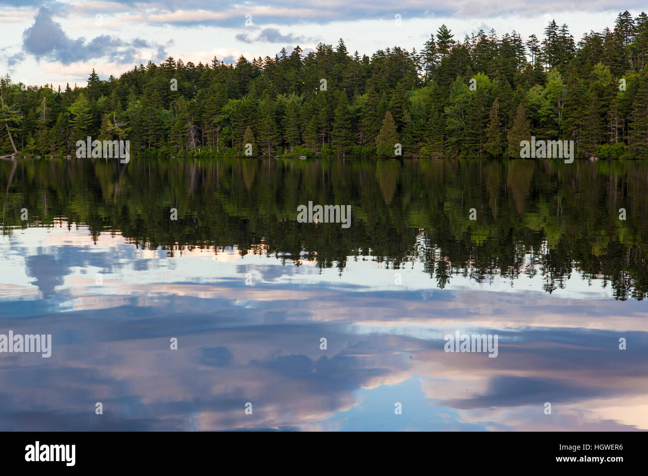 Lang Pond in Maine's Northern Forest. Cold Stream watershed, Parlin