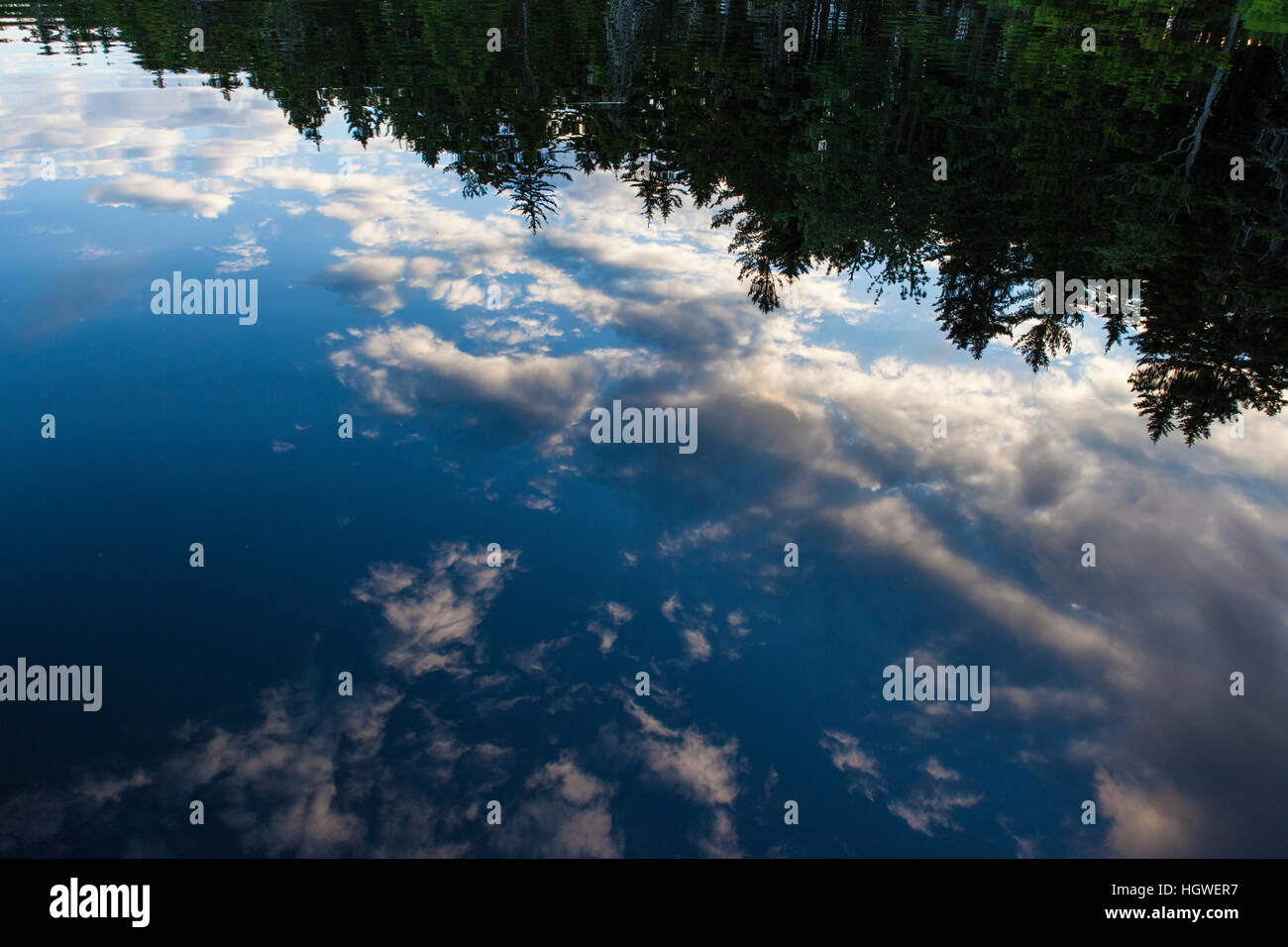 Cloud reflections in Lang Pond in Maine's Northern Forest. Cold Stream