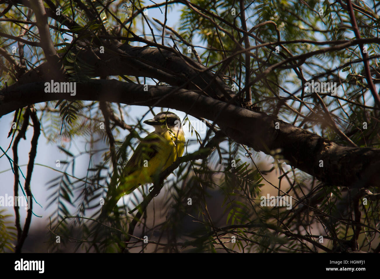 Valle de Punilla, Cordoba, Argentina Stock Photo Alamy