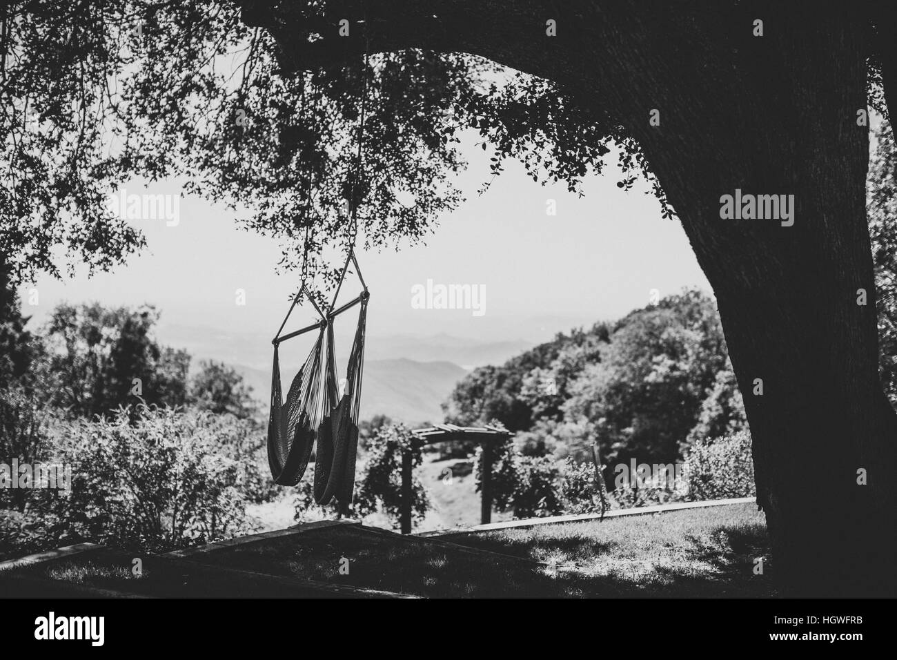 Tree hammocks Black and White Stock Photos & Images Alamy