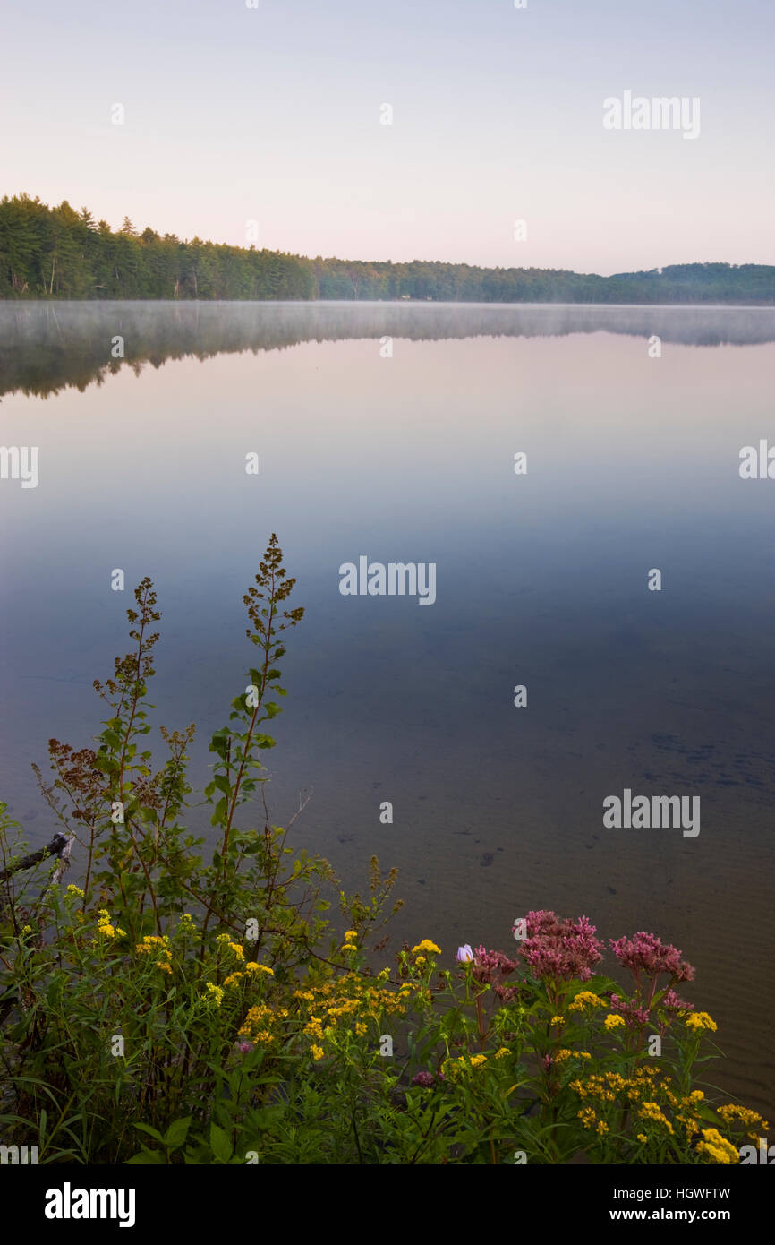 Early morning at Otter Lake in Greenfield State Park in Greenfield, New Hampshire Stock Photo