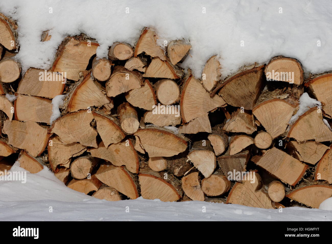 Snow covered firewood Stock Photo