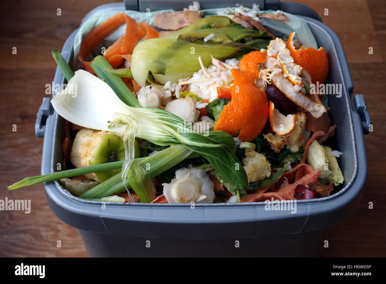 Container of domestic food waste, ready to be collected by the