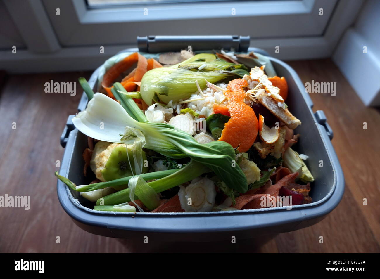 Container of domestic food waste, ready to be collected by the