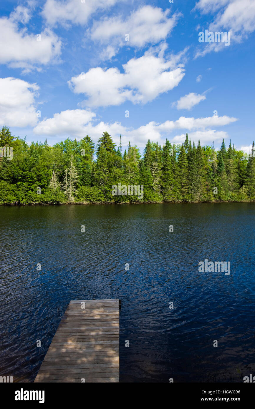 The Androscoggin River at Mollidgewock State Park in Errol, New