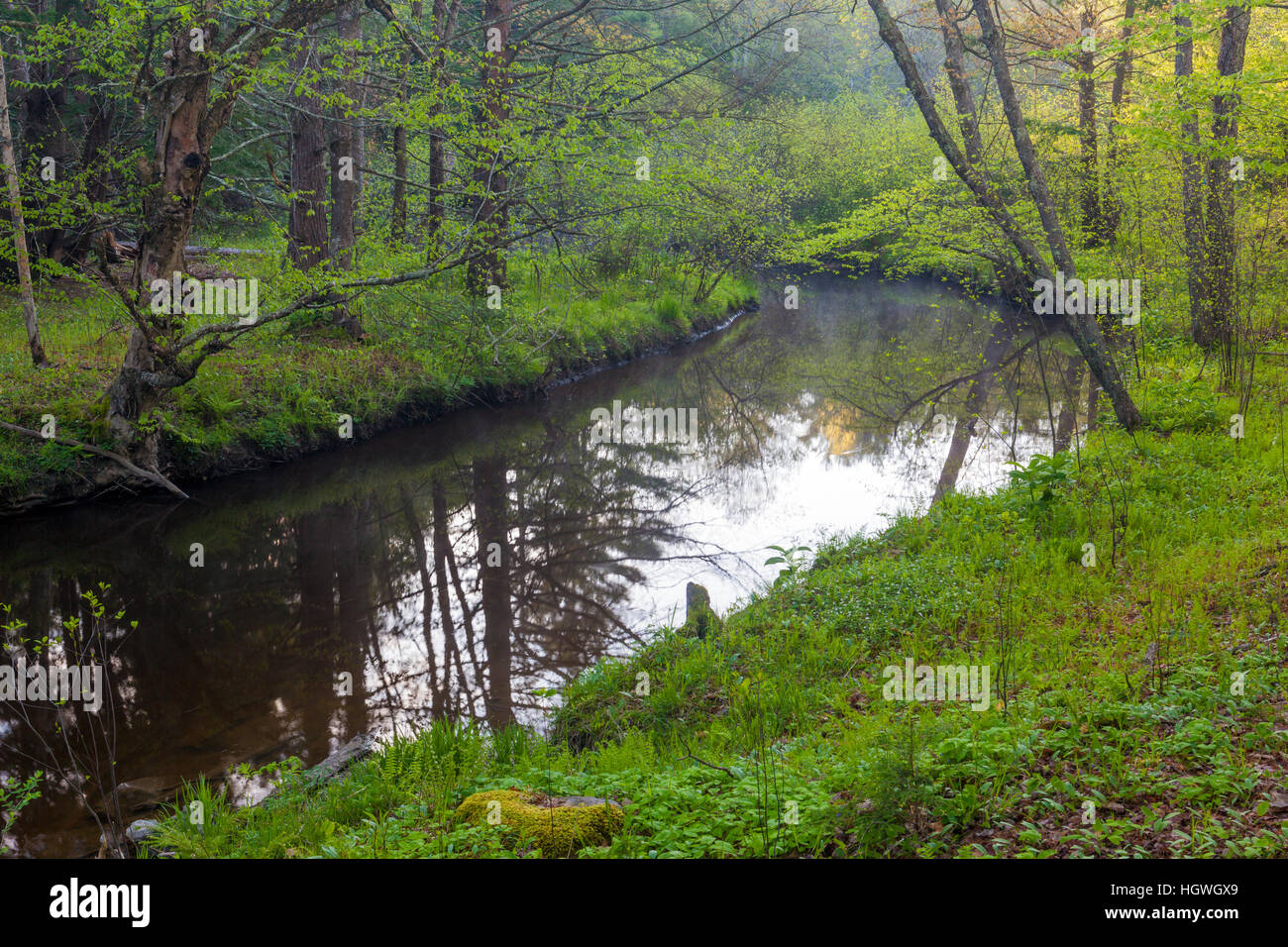 The Oyster River as it flows through a forest in Durham, New Hampshire