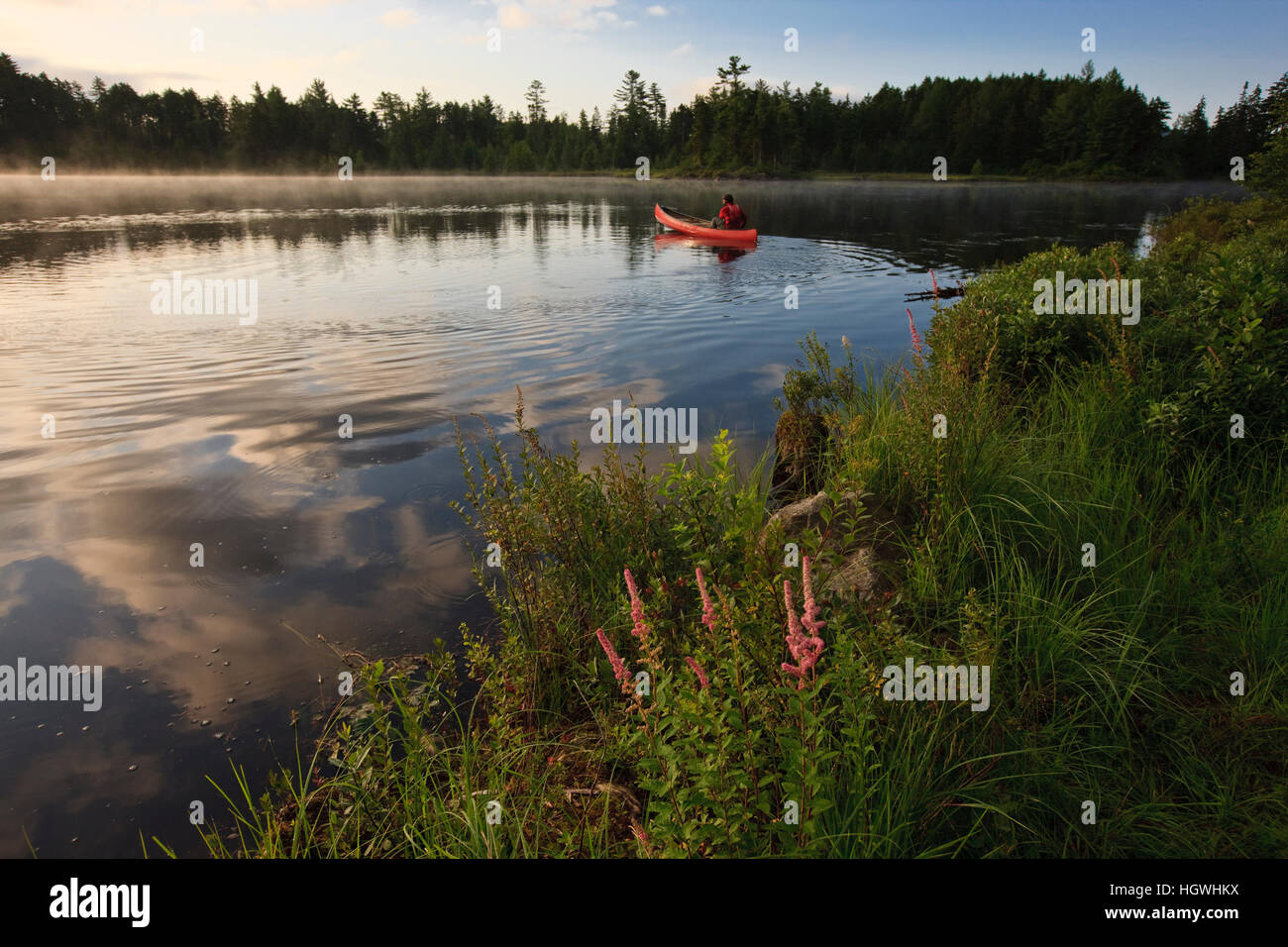 A man canoeing on Little Bear Brook Pond in Errol, New Hampshire