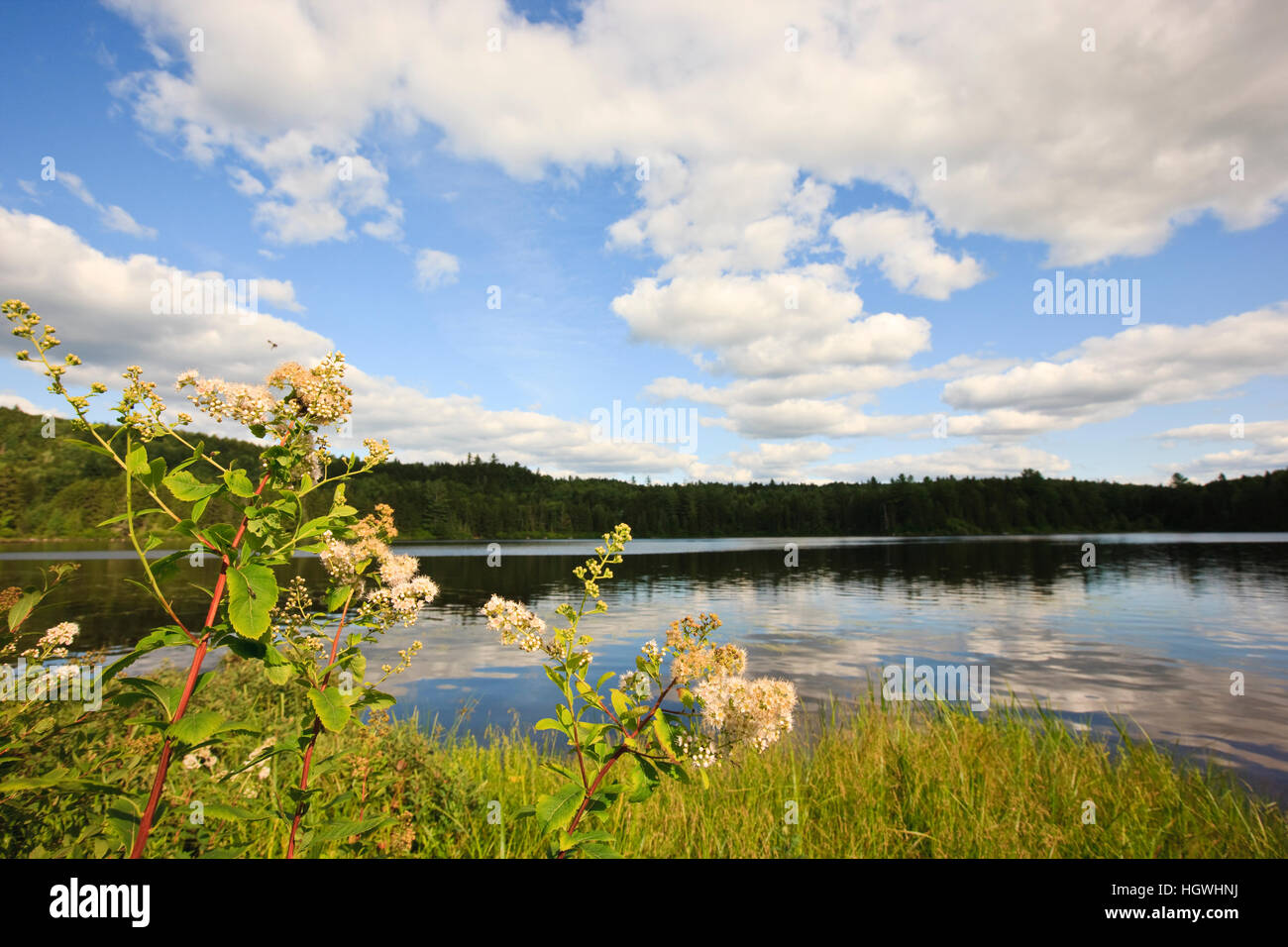 Little Greenough Pond in Errol, New Hampshire Stock Photo Alamy