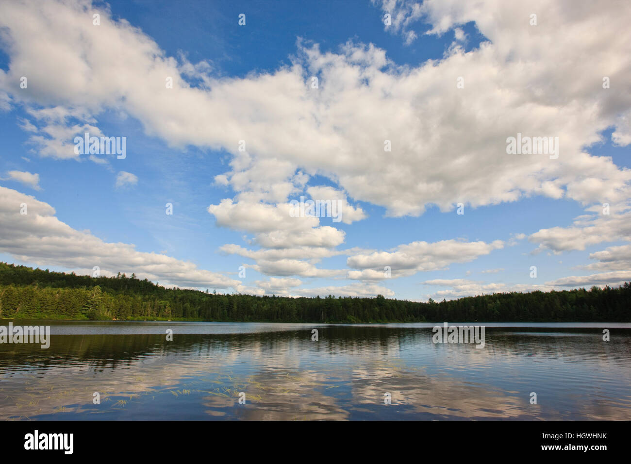Little Greenough Pond in Errol, New Hampshire Stock Photo Alamy