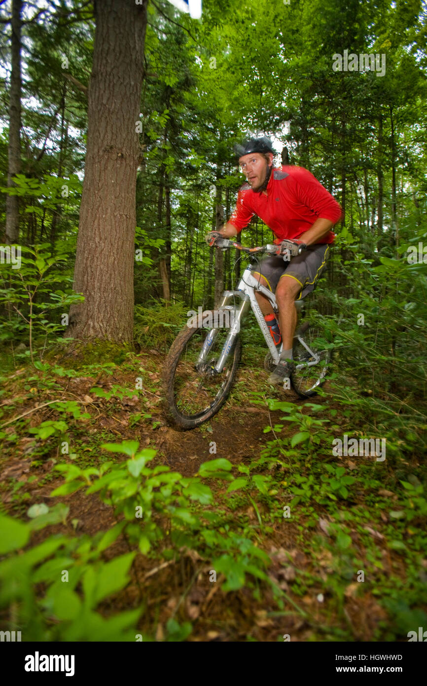Moose mountain bike sale