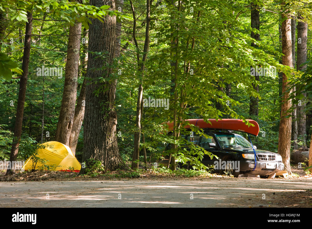 The Campground At White Lake State Park In Tamworth New Hampshire