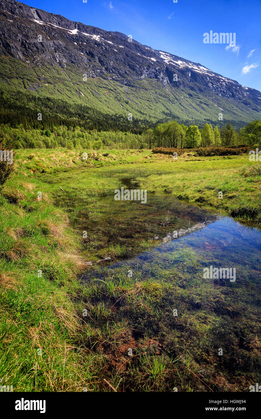 A stream of clear water in the summer pastures in the hills behind Innvik, Norway. Stock Photo