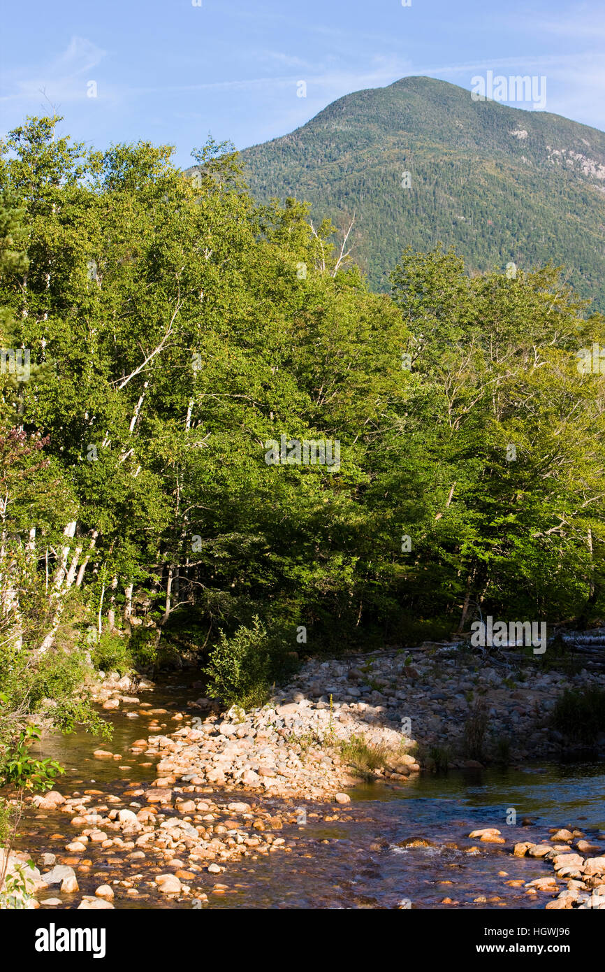 The Saco River in Crawford Notch State Park in new Hampshire's White