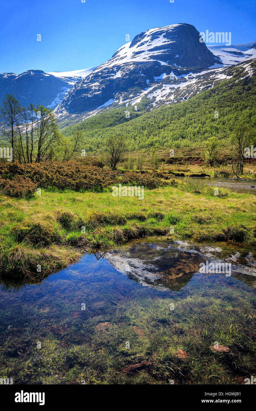 A stream of clear water in the summer pastures in the hills behind Innvik, Norway. Stock Photo