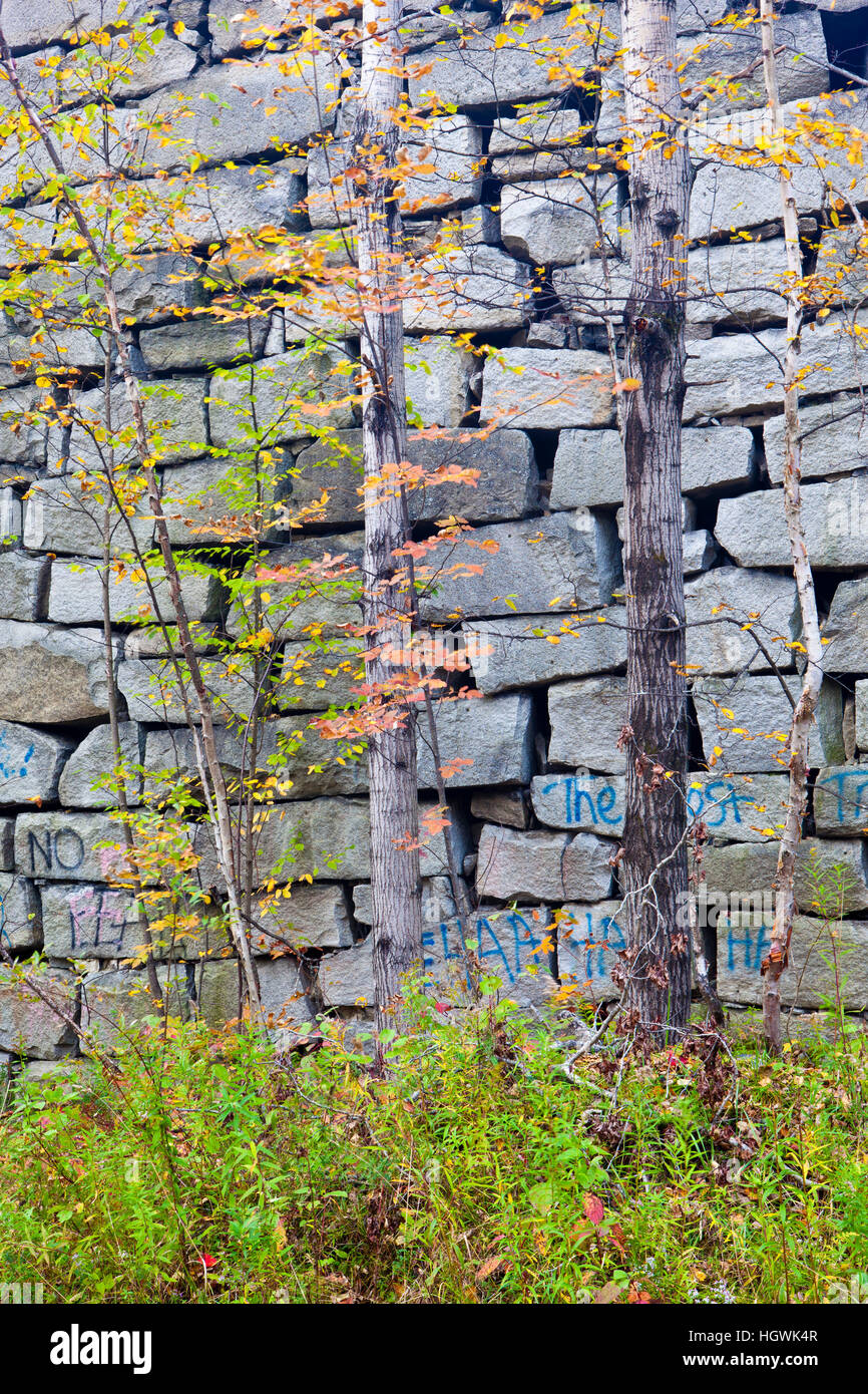 Fall in the forest on Millstone Hill in Barre, Vermont. Abandoned