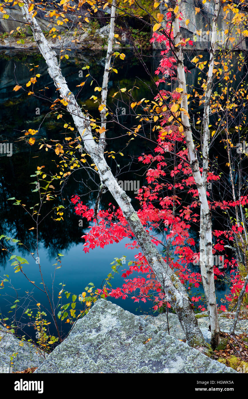 Fall foliage and a pond on Millstone Hill in Barre, Vermont. Abandoned