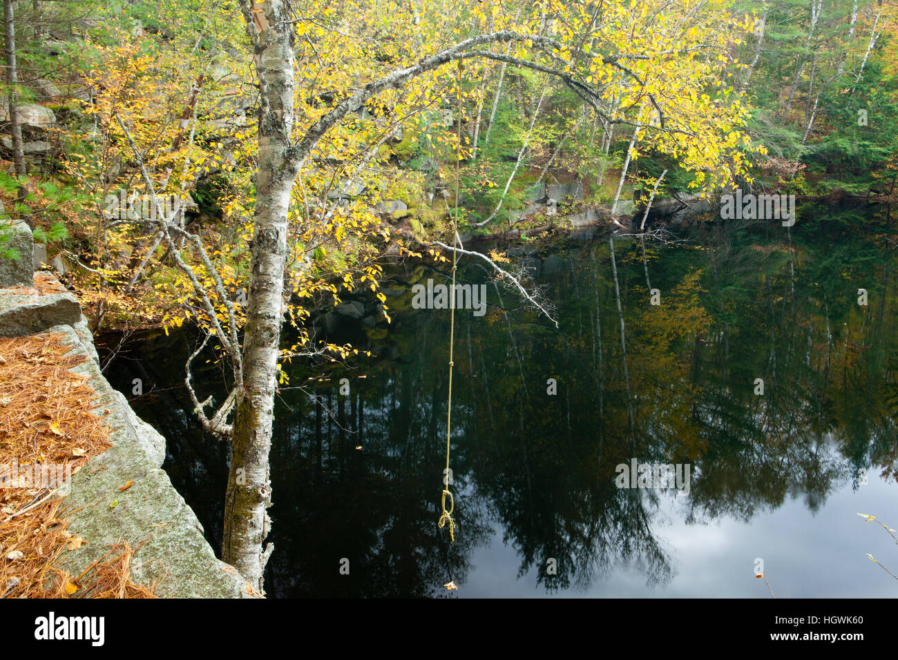 Fall foliage and a pond on Millstone Hill in Barre, Vermont. Abandoned