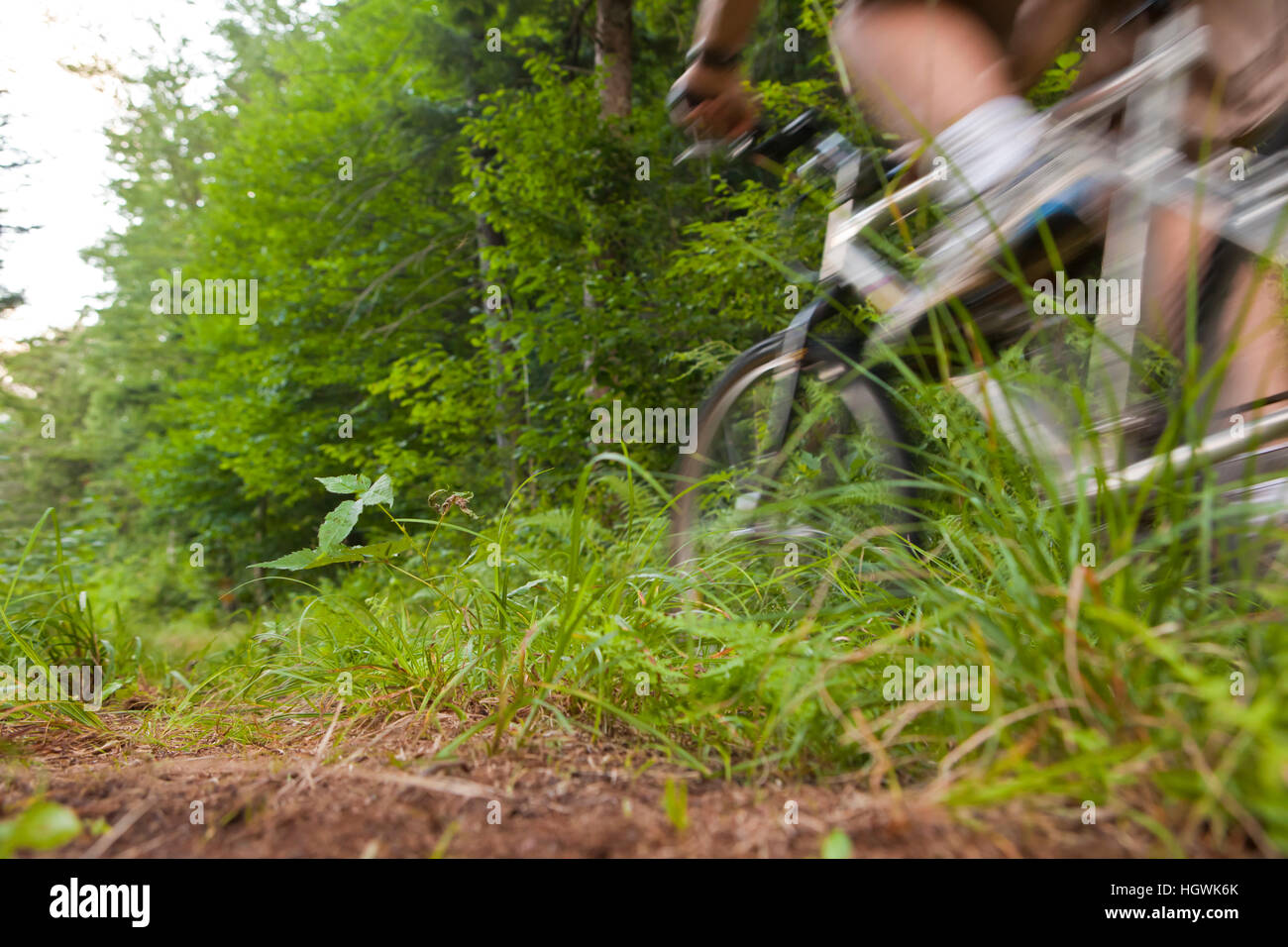 catamount mountain biking