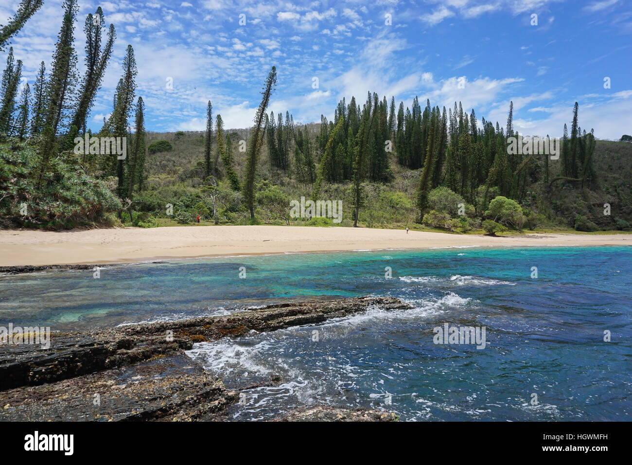 Coastal landscape, beach with endemic pines, New Caledonia, Turtle bay, Bourail, Grande Terre, south Pacific Stock Photo