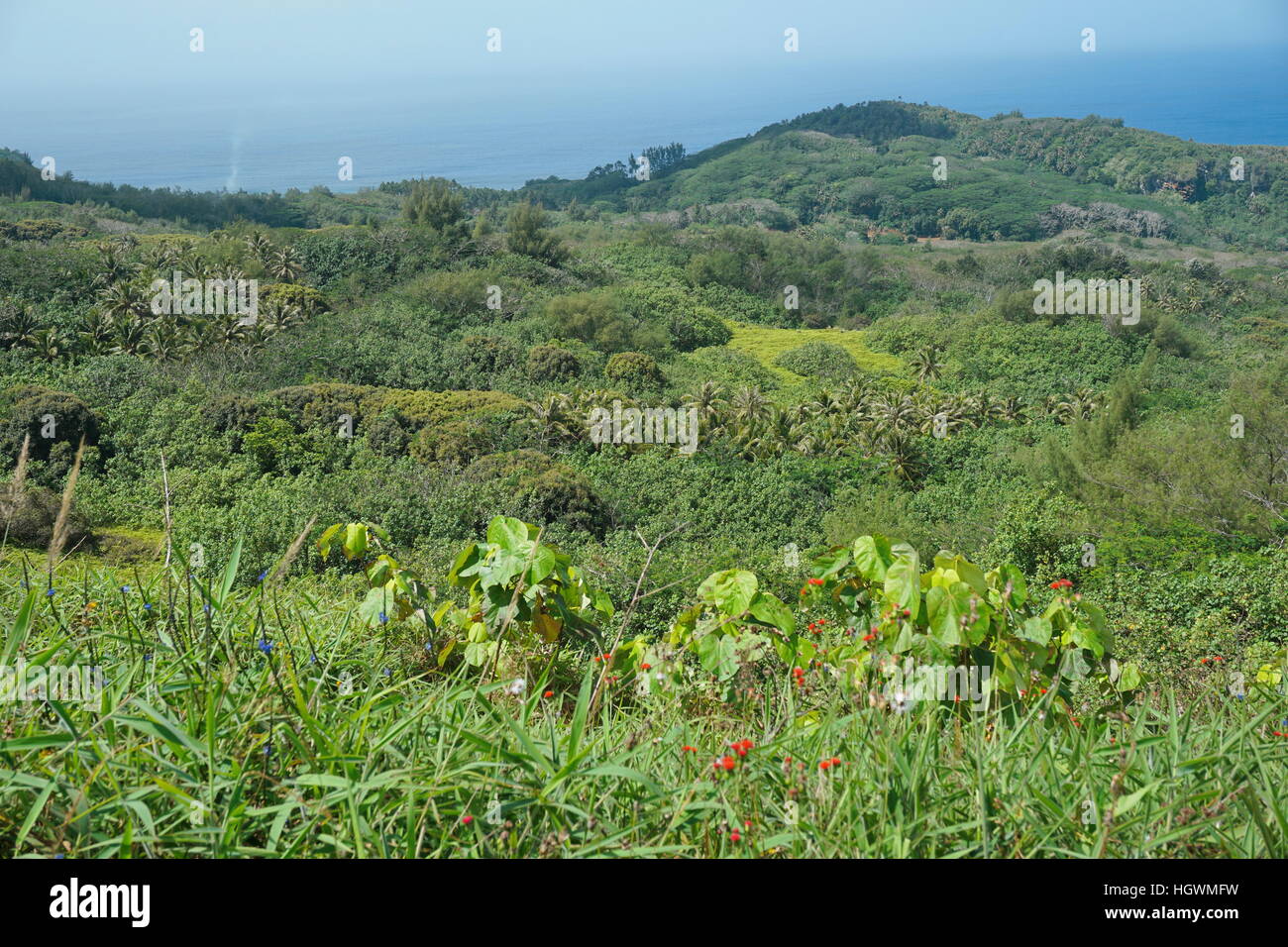 Green landscape from the heights of the island of Rurutu, French Polynesia, south Pacific ocean, Austral archipelago Stock Photo