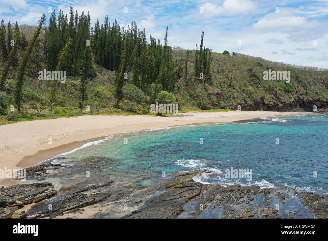 New Caledonia coastal landscape, beach with endemic pines, Turtle bay, Bourail, Grande Terre, south Pacific Stock Photo