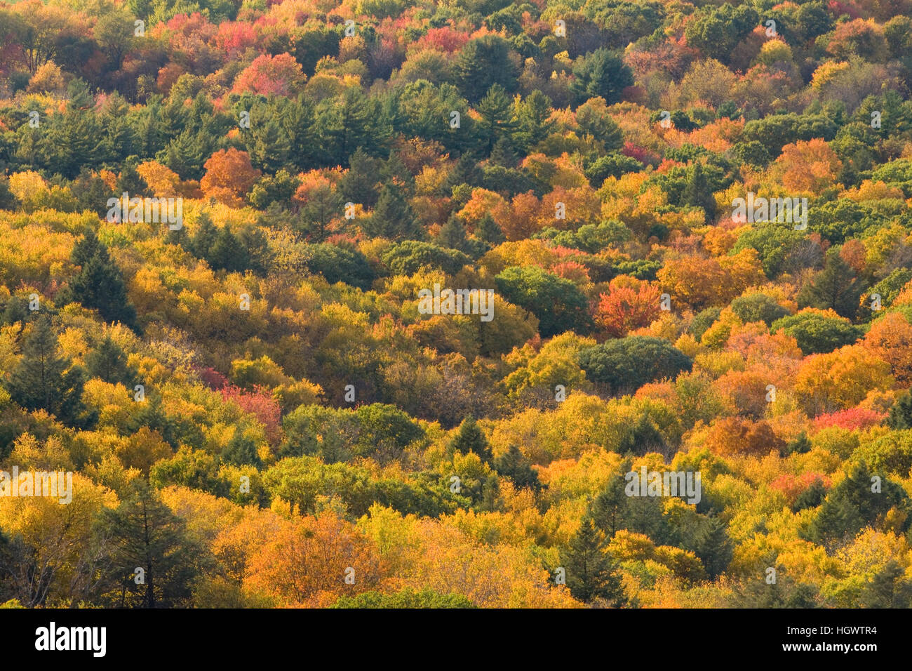 Fall in Skinner State Park, South Hadley, Massachusetts Stock Photo Alamy