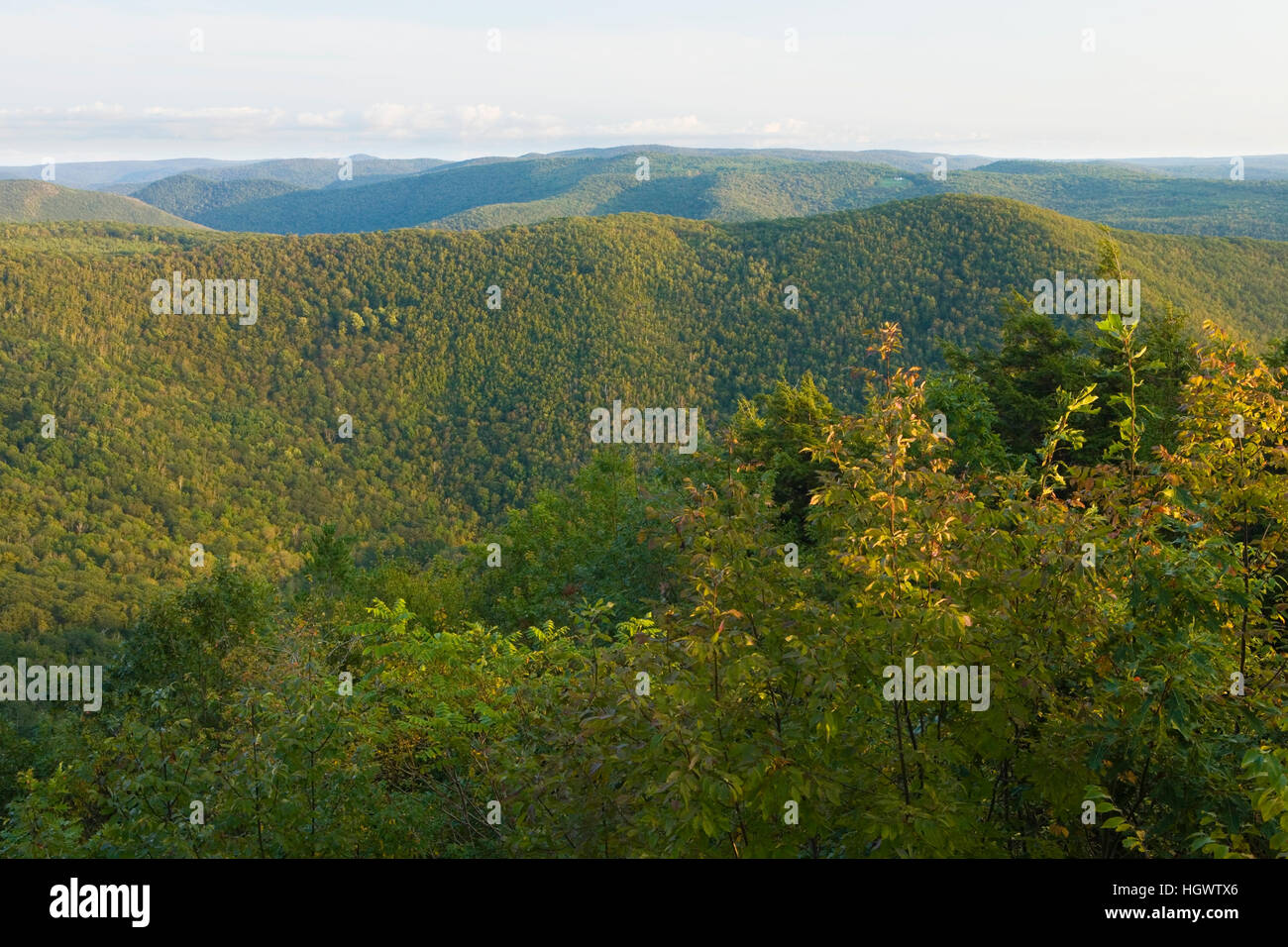 The Berkshire Hills above the Deerfield River Valley in Rowe, Massachuetts.  Late summer. Stock Photo