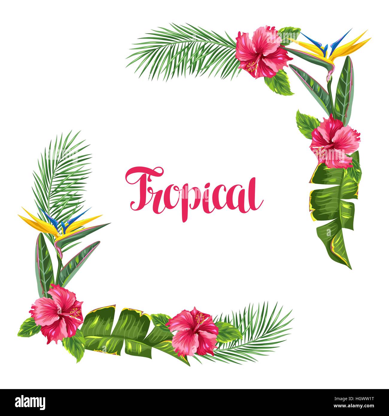 Frame With Tropical Leaves And Flowers Palms Branches Bird Of Paradise Flower Hibiscus Stock