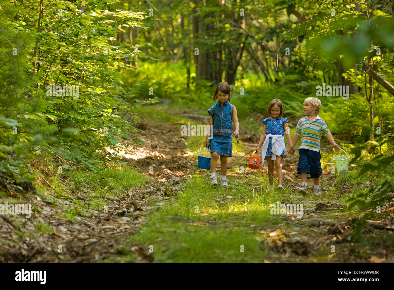 Three kids walk on an old woods road in Alton, New Hampshire Stock