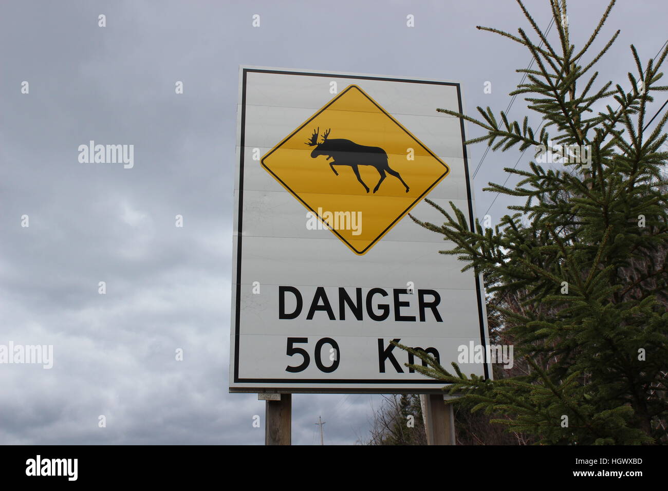 Moose crossing sign Stock Photo