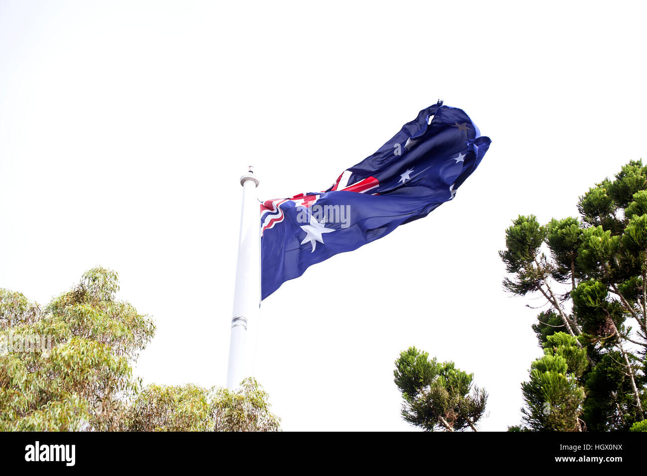 The Australian Flag. Hoist on a large flag pole in a reserve, a large Australian flag is blown