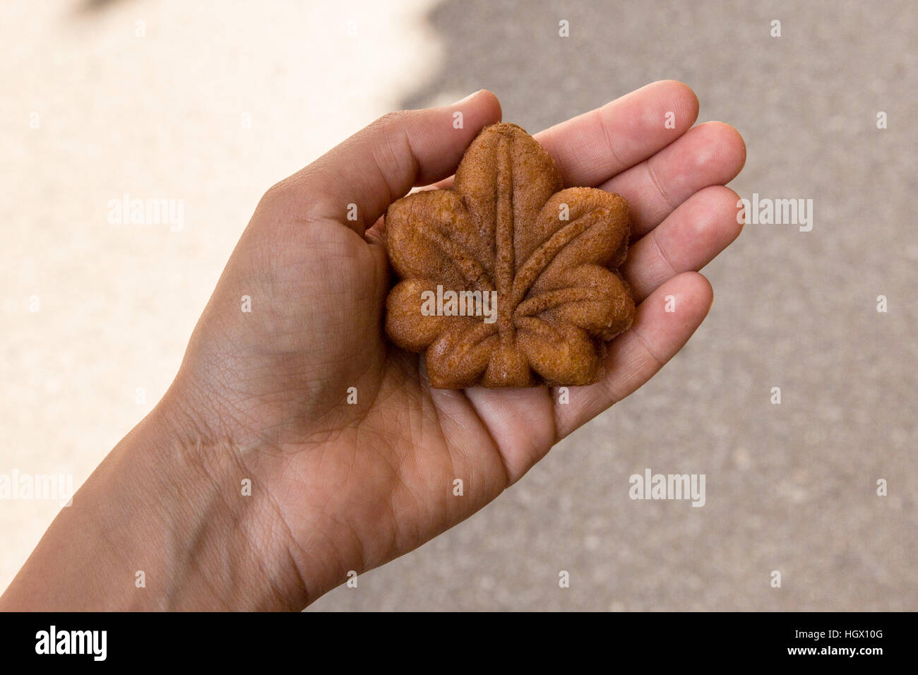 Momiji manju (maple-leaf-shaped cake) in a palm's hand, Miyajima, Hatsukaichi, Hiroshima Prefecture, Japan. Stock Photo