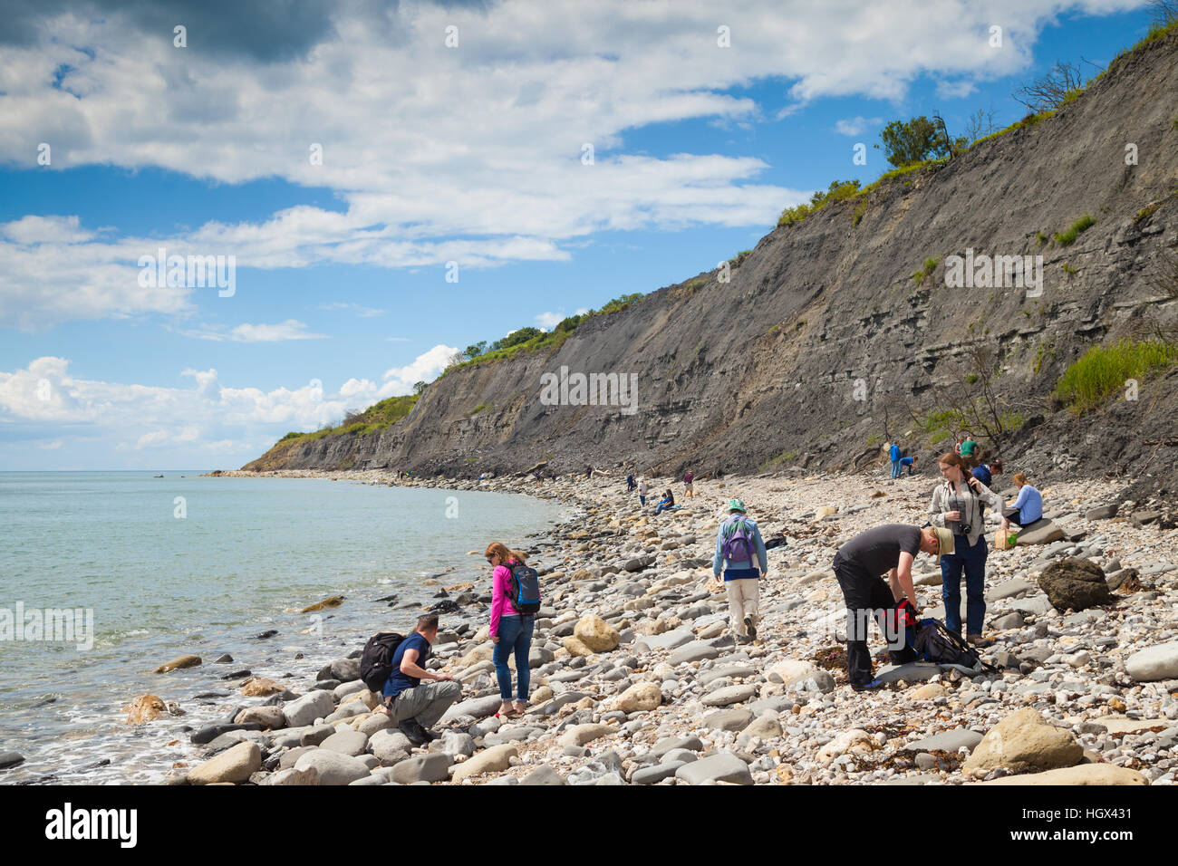 People searching for Fossils on Lyme Regis Beach, Dorset England Stock