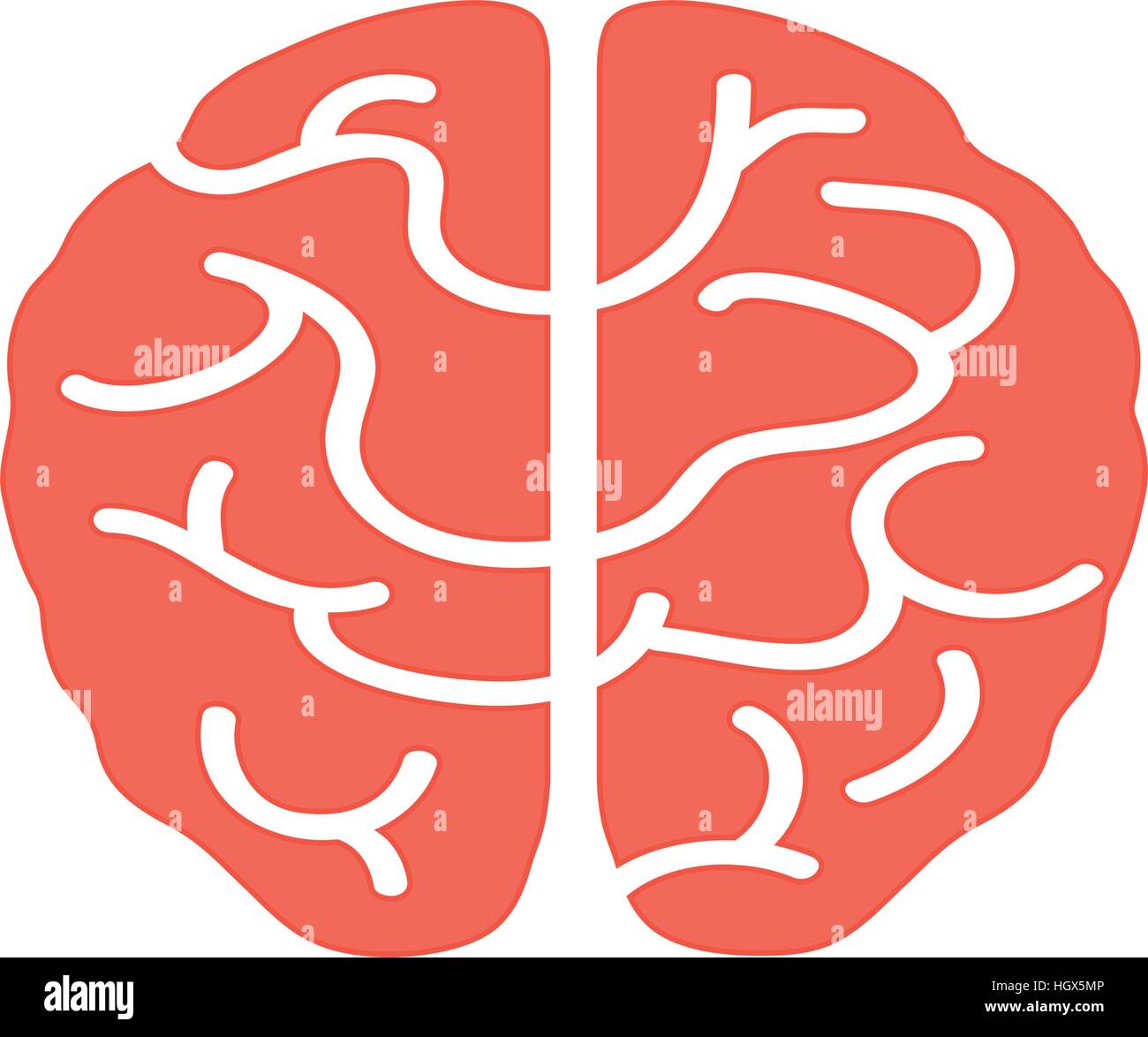 Isolated human brain Stock Vector Image & Art - Alamy